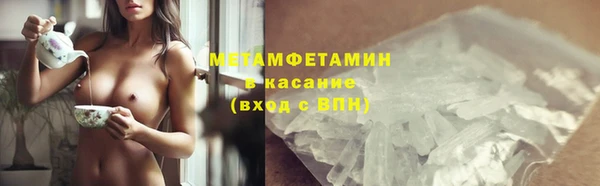 прущие грибы Куйбышев