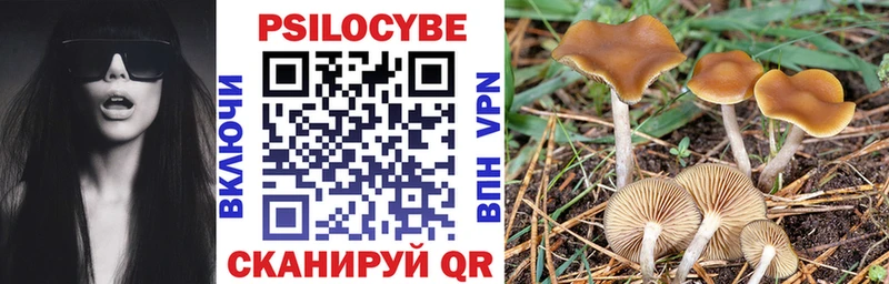 Псилоцибиновые грибы Psilocybine cubensis  Купить закладки  Верхняя Тура 